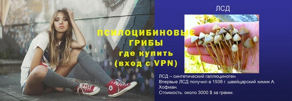 дмт Алзамай