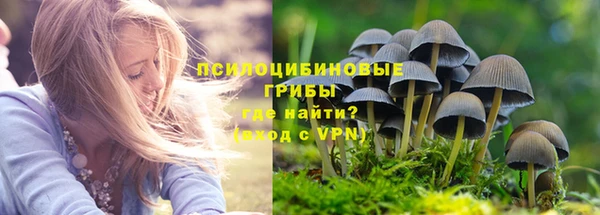 a pvp Абдулино